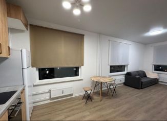 2-ком. квартира в аренду, 45 м2, Люберцы, Некрасовский проезд, 11, ЖК Люберцы 2018