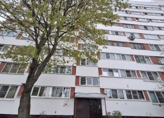 Двухкомнатная квартира на продажу, 46.3 м2, Санкт-Петербург, улица Тамбасова, 4к2В, Красносельский район