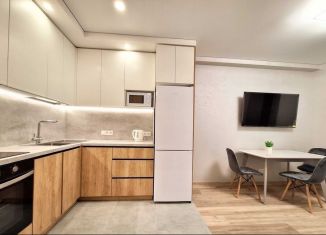 Сдается в аренду 1-комнатная квартира, 48 м2, Челябинская область, Ярославская улица, 13А