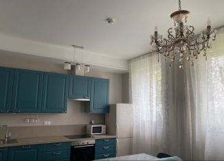 1-ком. квартира на продажу, 43.7 м2, Санкт-Петербург, Аптекарский проспект, 18, метро Чёрная речка