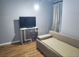 Квартира на продажу студия, 25.5 м2, деревня Хохряки, Муромская улица, 1А