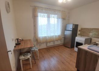 Аренда двухкомнатной квартиры, 46 м2, Колпино, улица Севастьянова, 28к1