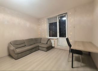 Аренда квартиры студии, 27 м2, Санкт-Петербург, Русановская улица, 19к3, Невский район