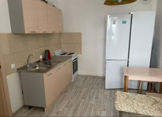 1-комнатная квартира в аренду, 39 м2, Екатеринбург, улица Старых Большевиков, 3