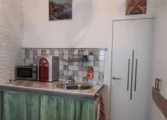 Сдача в аренду однокомнатной квартиры, 33 м2, Санкт-Петербург, Заводская улица, 15, Невский район