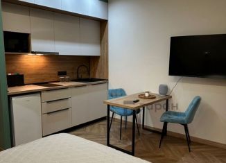 Сдача в аренду квартиры студии, 25 м2, Челябинская область, улица Ломоносова, 22