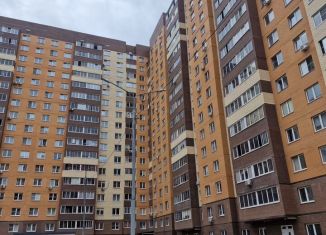 1-ком. квартира на продажу, 44 м2, посёлок Мебельной фабрики, Заречная улица, 7