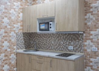 Сдается в аренду квартира студия, 20.7 м2, Санкт-Петербург, Плесецкая улица, 10, Приморский район