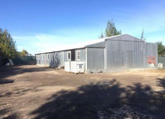 Сдается производство, 250 м2, Ленинградская область, улица Верности, 50