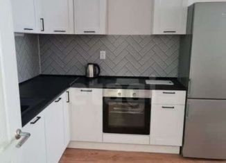 Квартира на продажу студия, 26.7 м2, Мурино, Ручьёвский проспект, 2, ЖК Авиатор