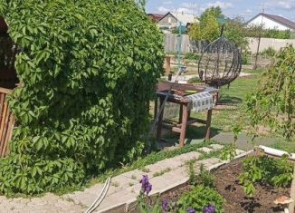 Аренда дома, 20 м2, Яровое, Первомайская улица, 81