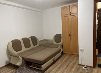 Сдача в аренду 1-комнатной квартиры, 30 м2, Санкт-Петербург, улица Подводника Кузьмина, 4, метро Проспект Ветеранов