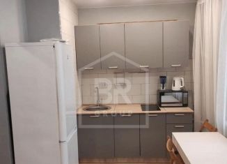 Продам квартиру студию, 24.9 м2, Мурино, проспект Авиаторов Балтики, 29к2, ЖК Авиатор