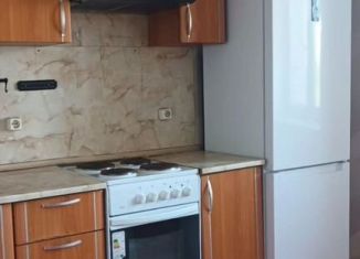Сдача в аренду 1-ком. квартиры, 46 м2, Санкт-Петербург, набережная реки Оккервиль, 4к2Б, метро Ладожская