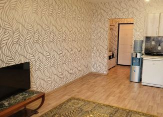 Квартира в аренду студия, 32.5 м2, Новосибирск, улица Дмитрия Шмонина, 1, Кировский район