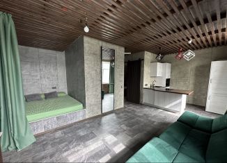 Сдаю 1-комнатную квартиру, 40 м2, Санкт-Петербург, улица Савушкина, 104, Приморский район