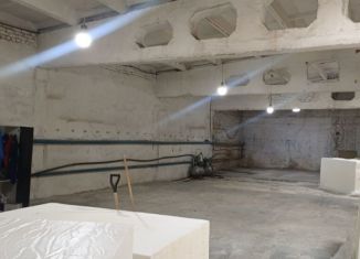 Сдача в аренду производства, 650 м2, Пензенская область, Перспективная улица, 7