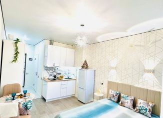 Сдаю в аренду квартиру студию, 25 м2, Ростов-на-Дону, проспект Ленина, 46/2, Октябрьский район