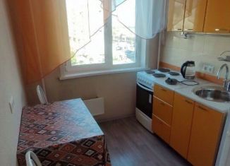 Аренда 1-ком. квартиры, 30 м2, Новосибирск, улица Селезнёва, 33А, Центральный район