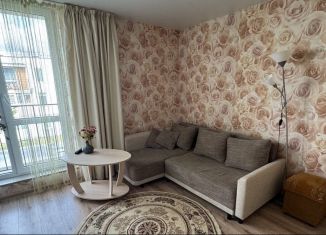 Продается однокомнатная квартира, 26.1 м2, посёлок Голубево, Изумрудная улица, 21