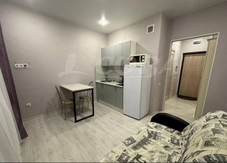 Квартира в аренду студия, 19 м2, Тюмень, улица Фармана Салманова, 26