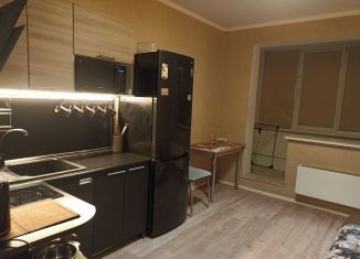 Продаю квартиру студию, 23 м2, Москва, Покровская улица, 12, район Некрасовка