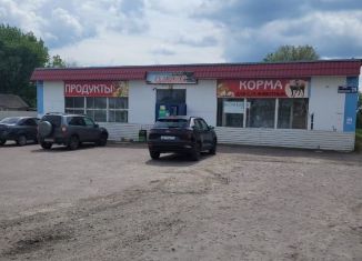 Торговая площадь на продажу, 320 м2, Лиски, Краснознамённая улица, 220