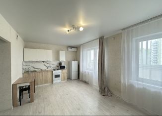 Сдам в аренду квартиру студию, 28 м2, Краснодар, улица имени Героя Советского Союза Якова Кобзаря, 2