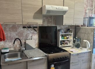 1-комнатная квартира на продажу, 29 м2, Ленинградская область, улица Гагарина, 8