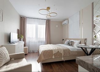 Сдается квартира студия, 22.3 м2, Санкт-Петербург, улица Морской Пехоты, 26к2, метро Проспект Ветеранов