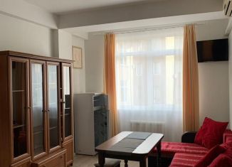 Сдаю однокомнатную квартиру, 42 м2, Сочи, Виноградная улица, 123/7, микрорайон Новый Сочи