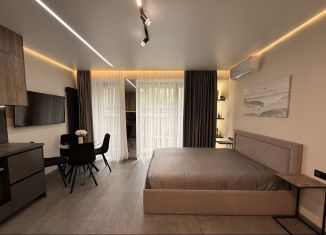Продается квартира студия, 31.2 м2, Сочи, Курортный проспект, 96Г, микрорайон Приморье