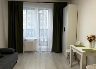 Сдается в аренду квартира студия, 25 м2, Санкт-Петербург, проспект Авиаконструкторов, 69, Приморский район