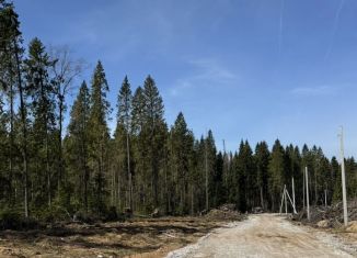 Продам земельный участок, 8 сот., Березники, Черничная улица, 9