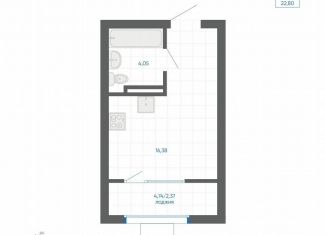 Продается квартира студия, 22.8 м2, Челябинская область