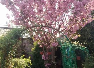 Сдам дом, 70 м2, Курск, садоводческое некоммерческое товарищество Моква, 489