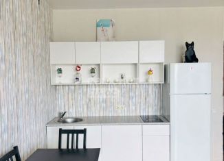 Продаю квартиру студию, 36.2 м2, Новосибирск, Выборная улица, 154/2, Октябрьский район