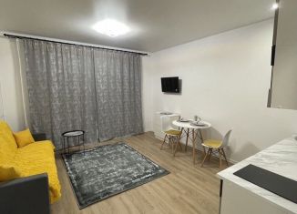 Сдается в аренду квартира студия, 25 м2, Котельники, микрорайон Парковый, 14