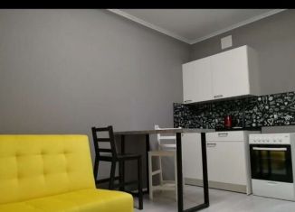 Сдается квартира студия, 20 м2, Краснодар, улица Евгении Жигуленко, 13