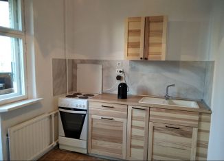 Сдается 1-ком. квартира, 40 м2, Санкт-Петербург, Камышовая улица, 32к1, муниципальный округ № 65