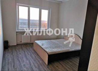 Продается 2-комнатная квартира, 49.3 м2, Новосибирск, улица Ошанина, 3, ЖК Сокольники