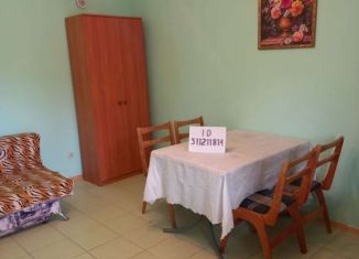 Сдается в аренду комната, 36 м2, поселок городского типа Заозерное, Тенистая улица, 10