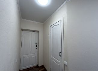 Продажа 1-комнатной квартиры, 30 м2, Омская область, улица Андрианова, 30