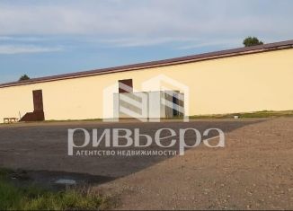 Сдам складское помещение, 960 м2, Новосибирская область, Дорожная улица, 1