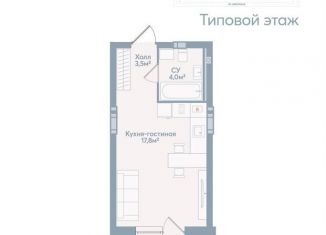 Продается квартира студия, 28 м2, Астрахань, Моздокская улица, 40, Советский район