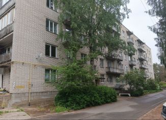 Однокомнатная квартира в аренду, 27 м2, Ленинградская область, Парковая улица, 3