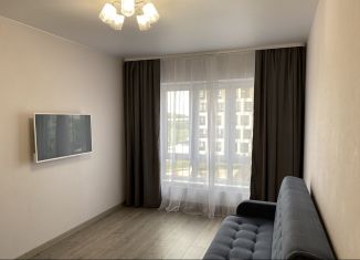 1-комнатная квартира в аренду, 39 м2, Новгородская область, улица Вересова, 7к1