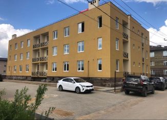 Продам 1-комнатную квартиру, 46.6 м2, деревня Кабицыно, улица Елены Исинбаевой, 77