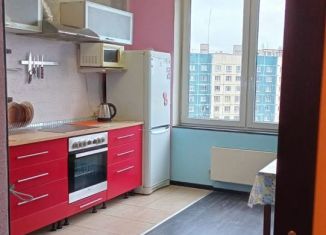 Сдается в аренду 1-ком. квартира, 43 м2, Санкт-Петербург, проспект Энтузиастов, 38, проспект Энтузиастов