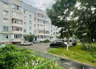 Трехкомнатная квартира на продажу, 60.5 м2, Нижегородская область, улица Комбрига Патоличева, 43